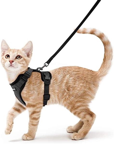 3 out of 5 stars 1,032 ratings. . Cat leash amazon